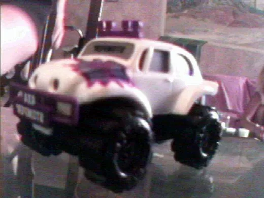 vw.jpg (31027 bytes)